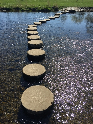 Landscape water nature pathway Photo