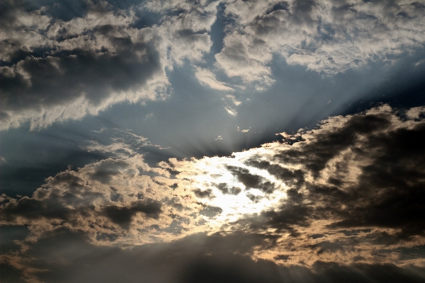 Nature horizon light cloud Photo