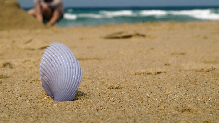 Beach landscape sea coast Photo