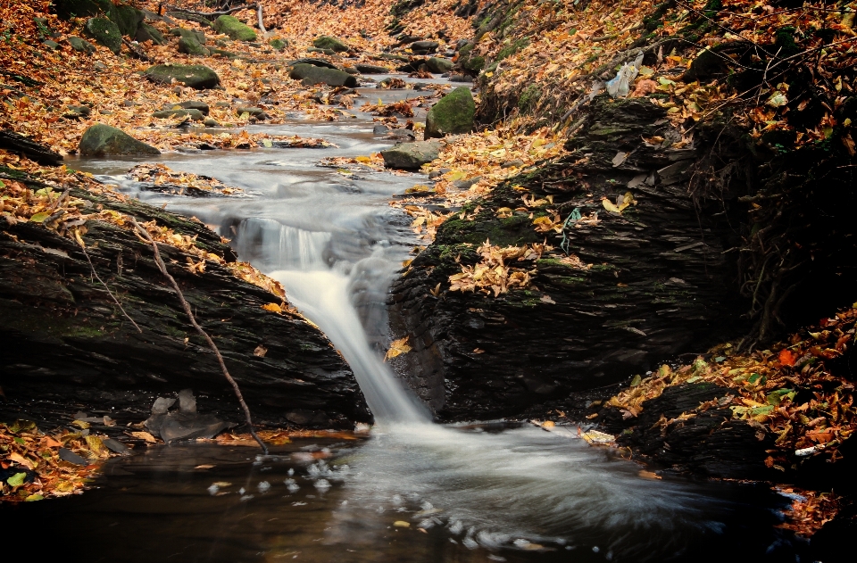 Landscape water nature forest