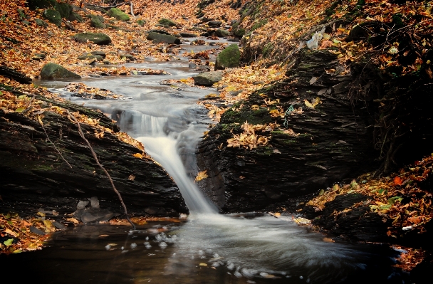 Landscape water nature forest Photo