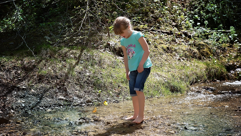 Water nature forest walking