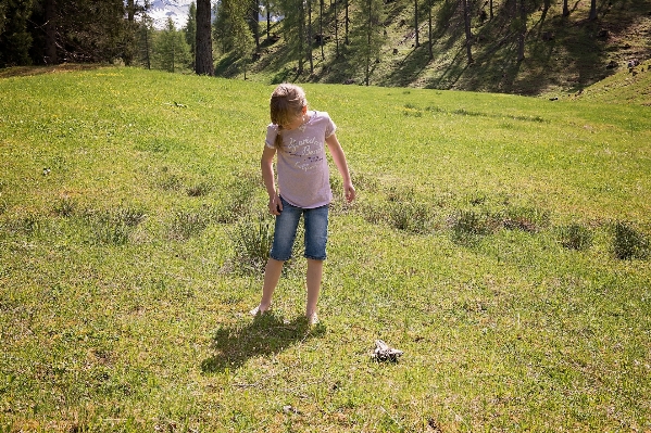 Zdjęcie Natura trawa pustynia
 pieszy