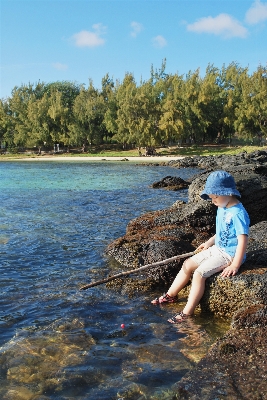 Beach sea coast water Photo