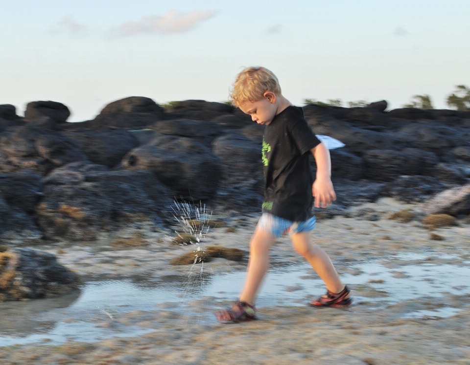 Strand meer küste wasser