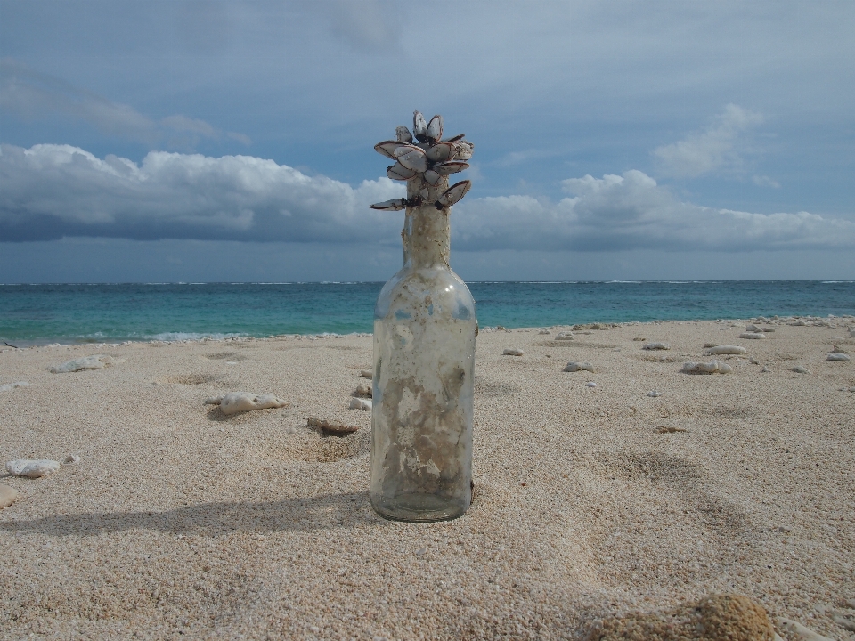 Beach sea coast sand