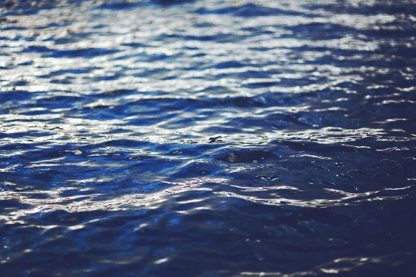 海 海岸 水 自然 写真