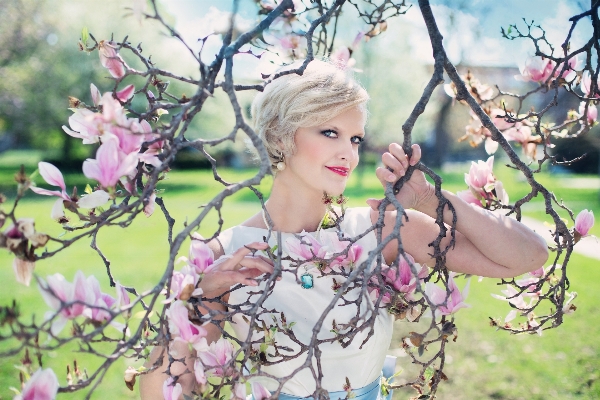 Tree branch blossom plant Photo