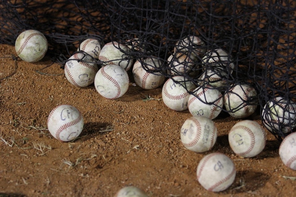 Legna baseball sport formazione