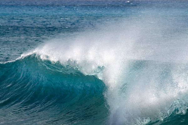 Beach sea coast water Photo