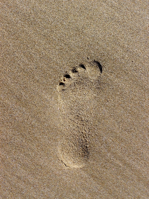 海滩 沙 质地 地面