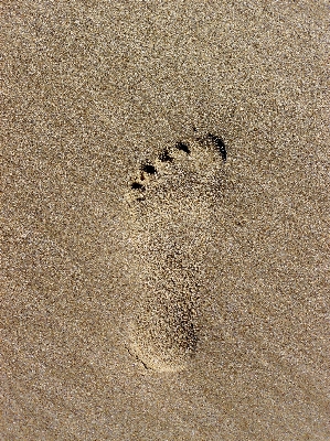 Foto Praia areia textura chão