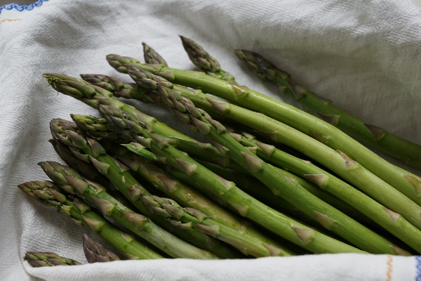 Foto Branco comida verde produzir