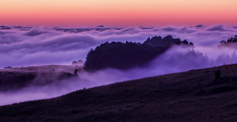 Landscape sea coast nature Photo