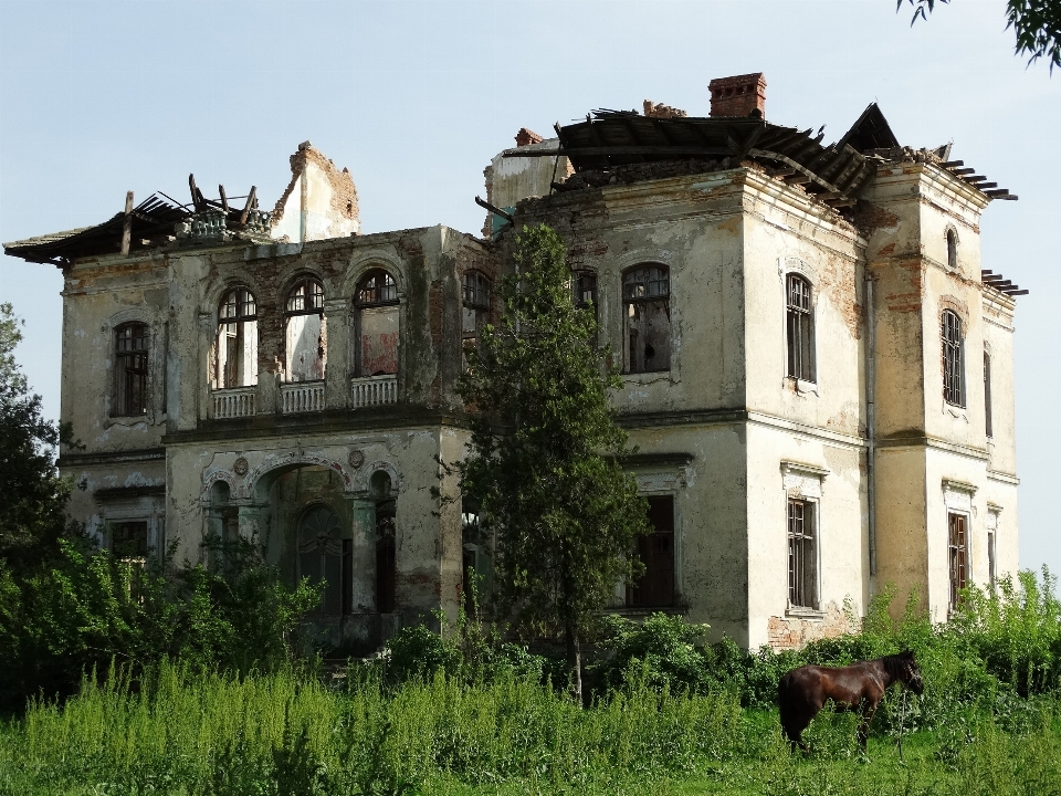 Architettura villa dimora
 casa