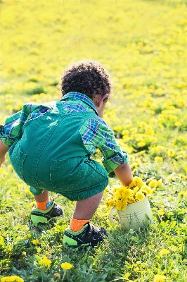 Nature grass person field Photo