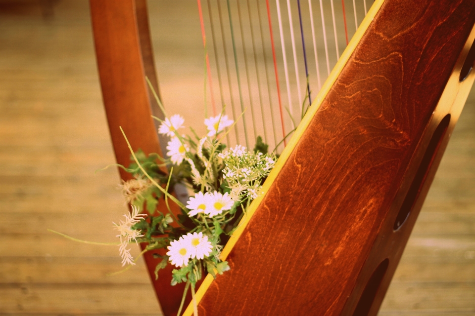 Música guitarra flor floral