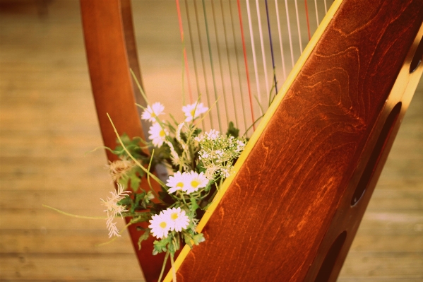 Music guitar flower floral Photo