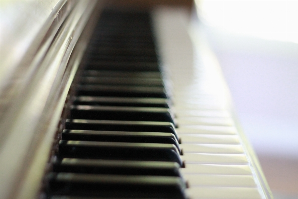 Music black and white keyboard technology Photo