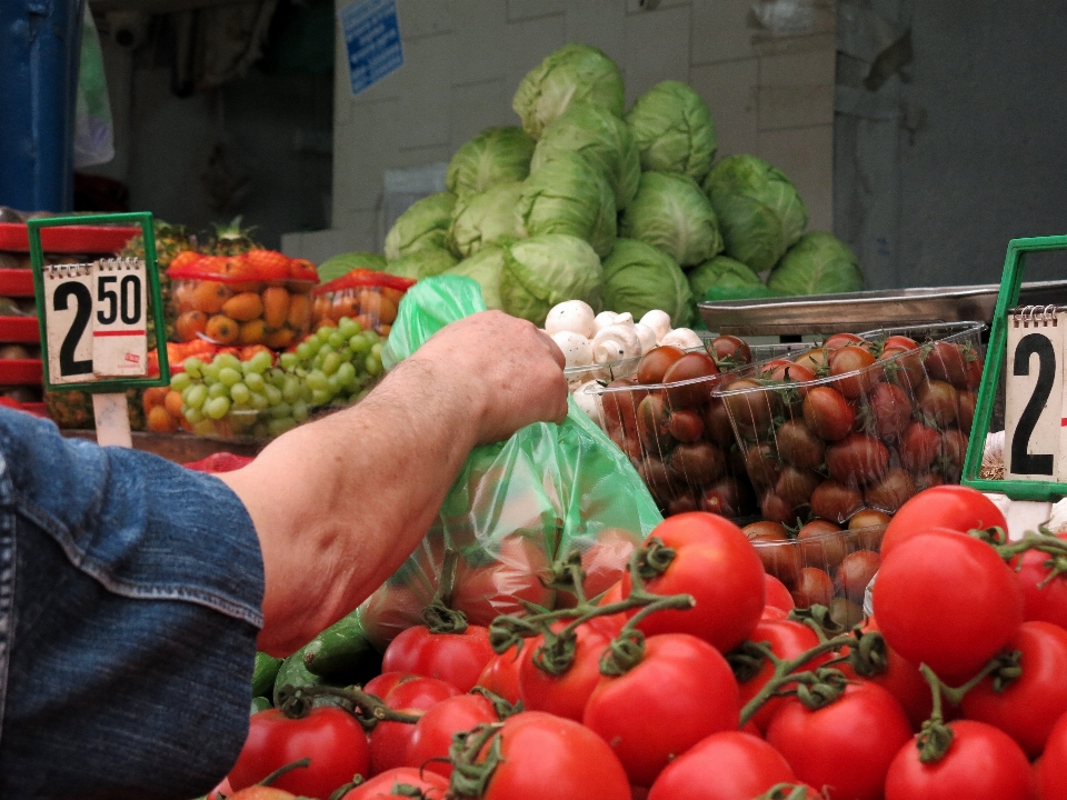 Pianta frutta città cibo