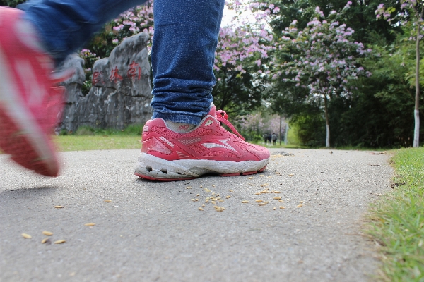 Walking shoe road lawn Photo