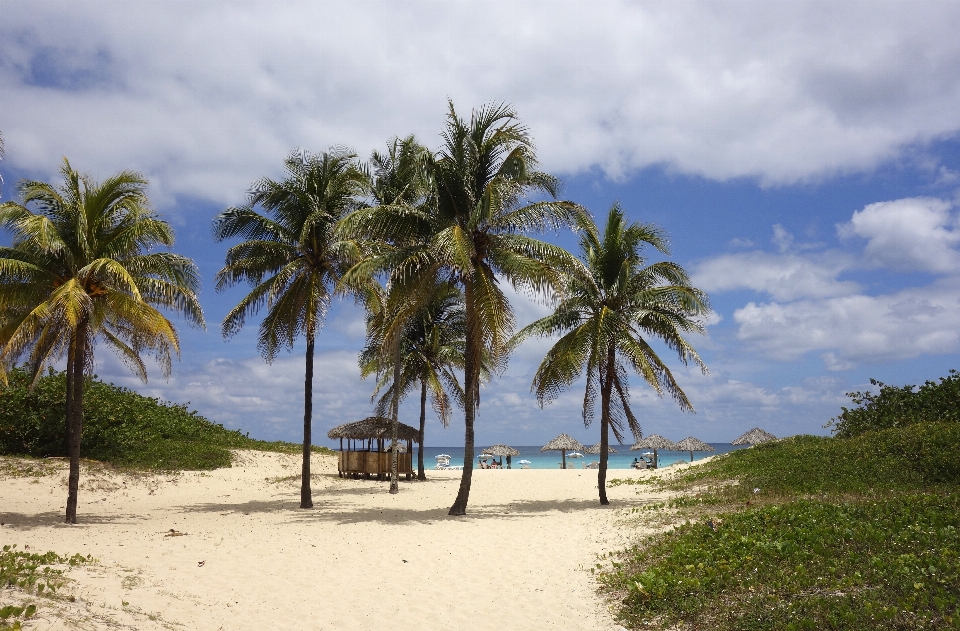 Beach landscape sea coast