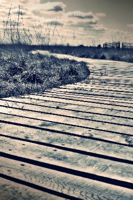 風景 海 海岸 水 写真