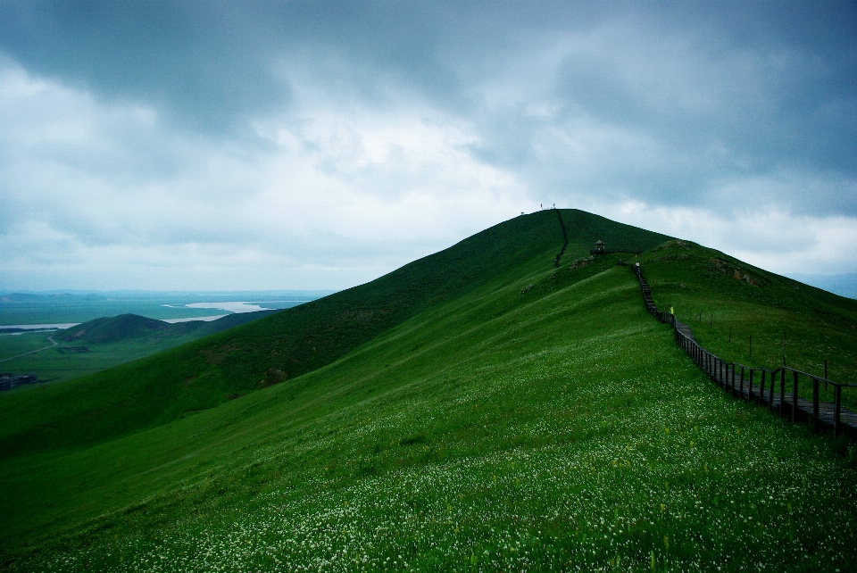 Landscape nature grass horizon