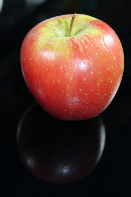 Apple arbre nature usine