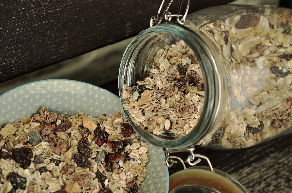 Plant morning glass dish Photo