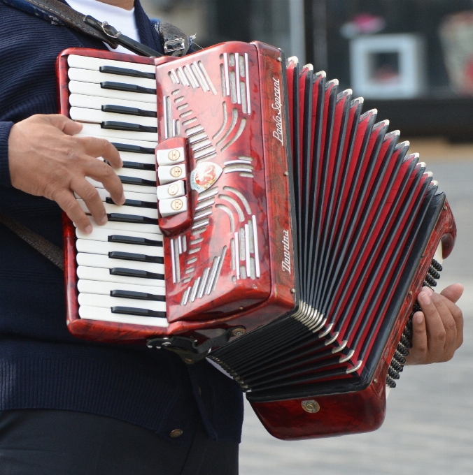 Musique jouer rouge instrument