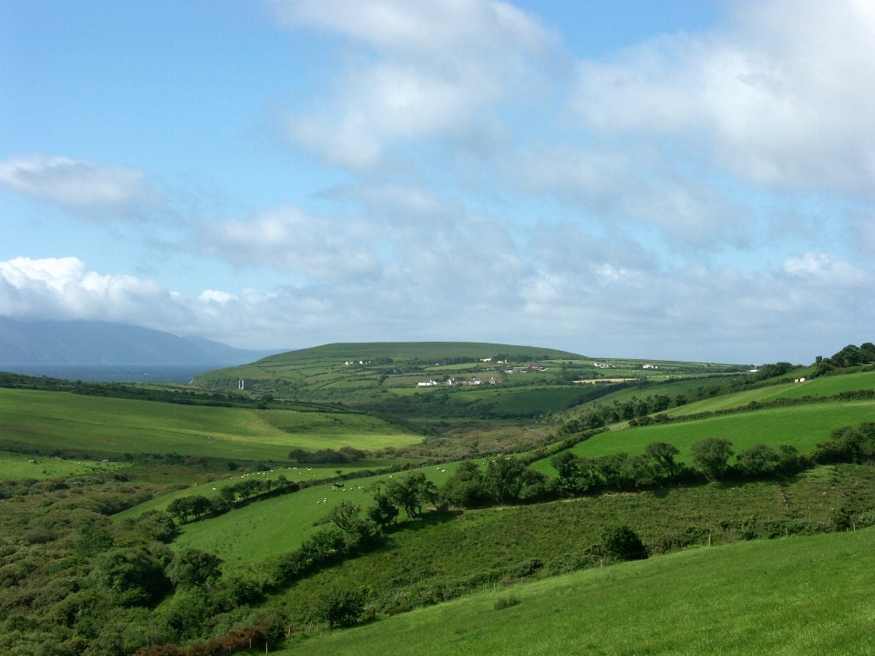 Landscape nature grass horizon