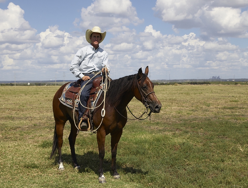 Corda animal país pasto
