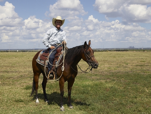 Rope animal country pasture Photo