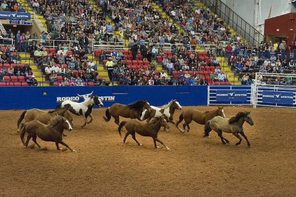 Structure sport herd usa Photo