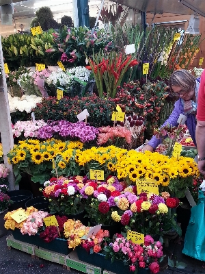 Anlage blume strauß markt Foto