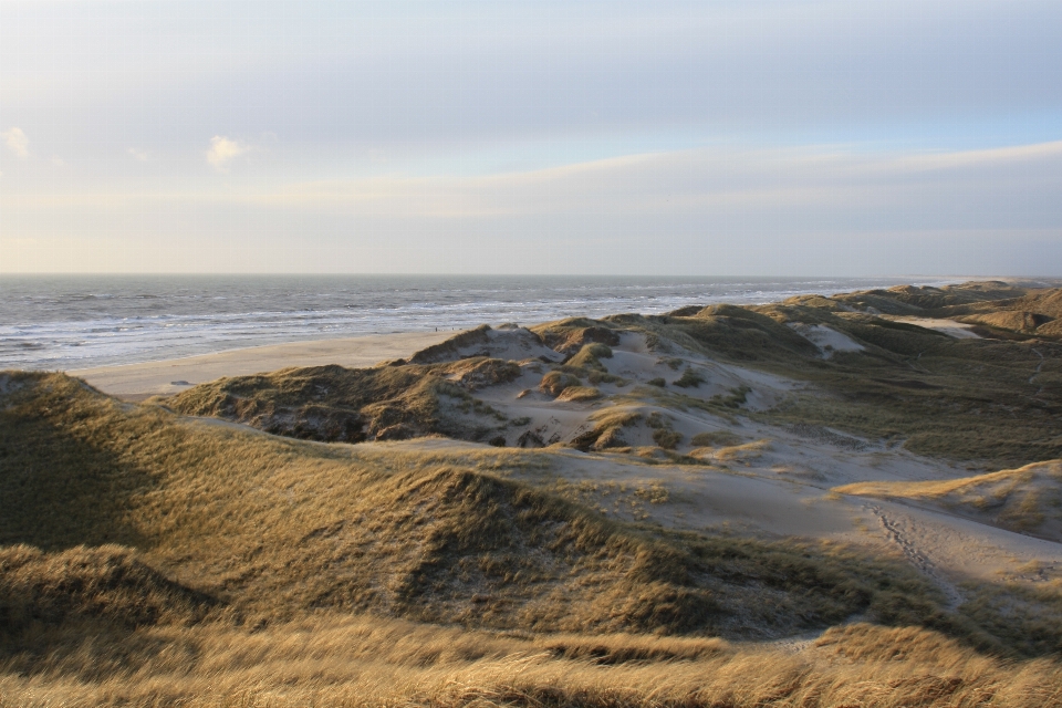 Beach landscape sea coast