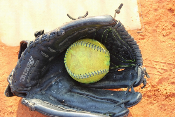 Sport leather field game Photo