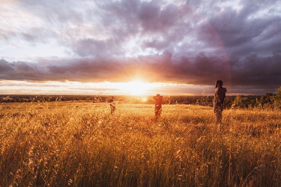 Landscape nature grass outdoor