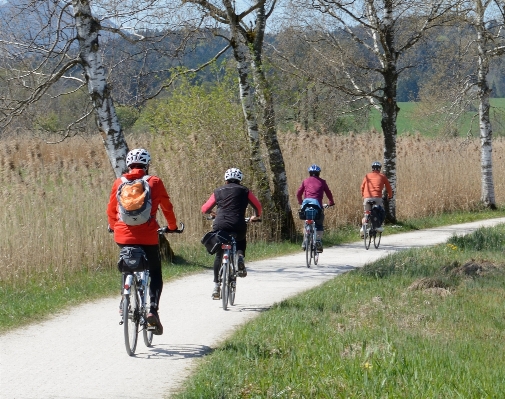 Group wheel bicycle bike Photo