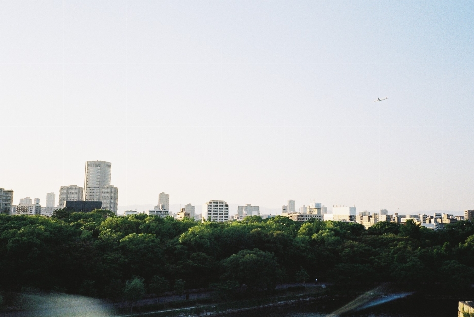 Horizon sky skyline morning