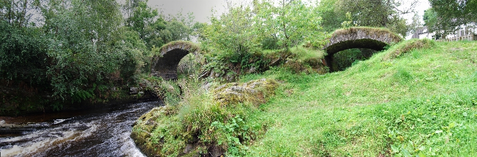 Forêt piste pont rivière