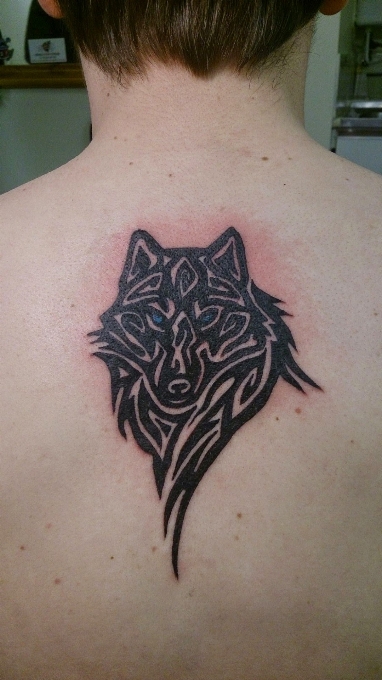 Modèle tatouage artiste loup