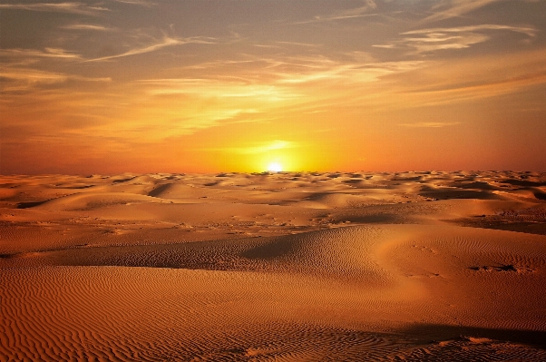 Landscape sea sand horizon Photo