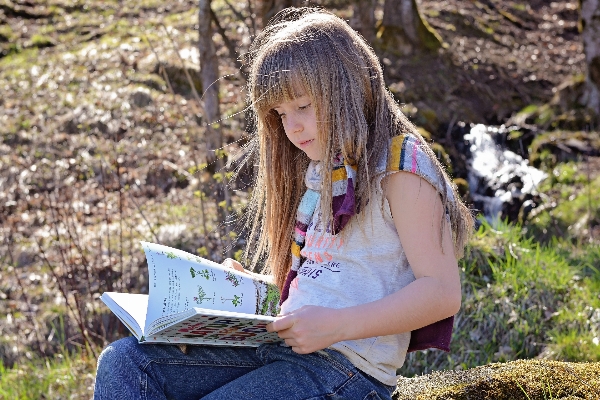 Nature grass book read Photo