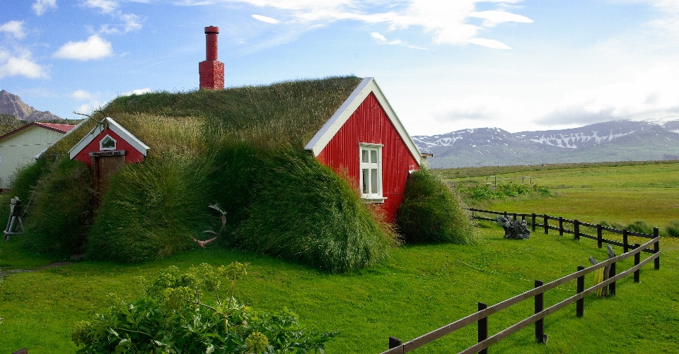 Grass field farm lawn