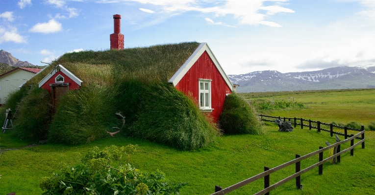 Grass field farm lawn Photo