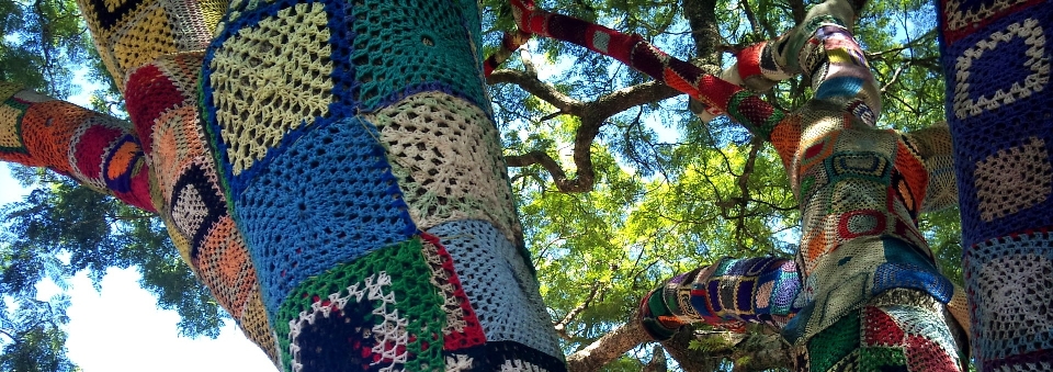 Paisaje árbol naturaleza planta