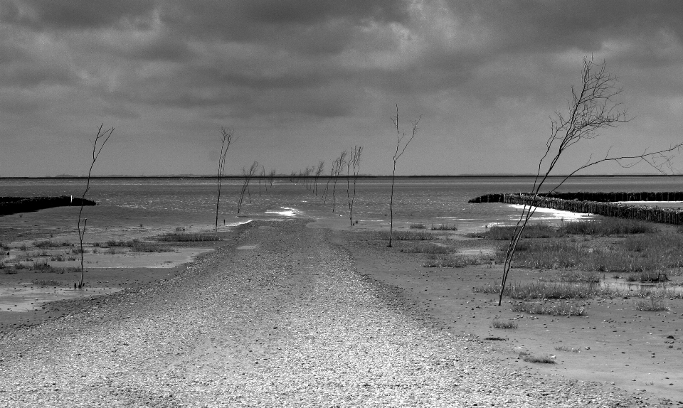 Mer côte sable horizon