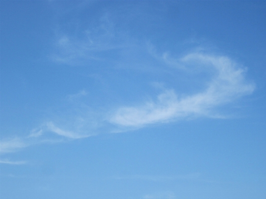 風景 自然 地平線 ライト 写真